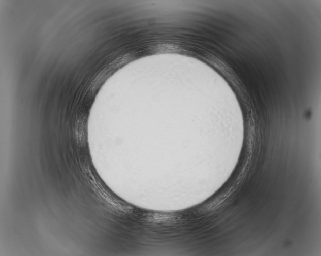 X0000115210857200912091156