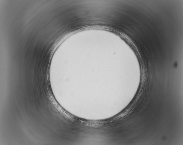 X0000115210860200912091156