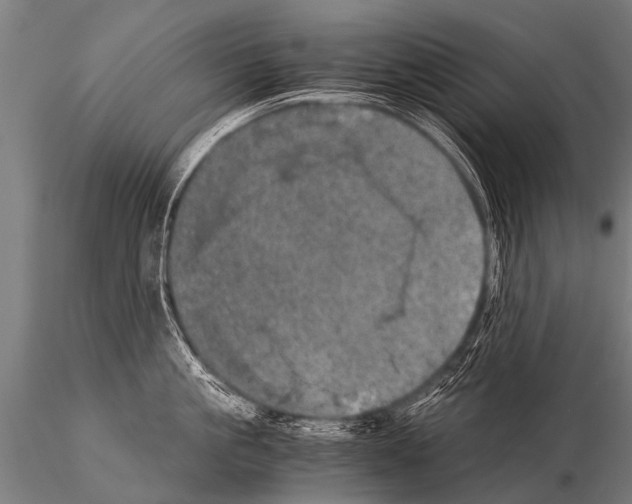 X0000115210861200912091156