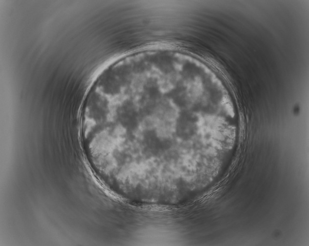 X0000115210862200912091156