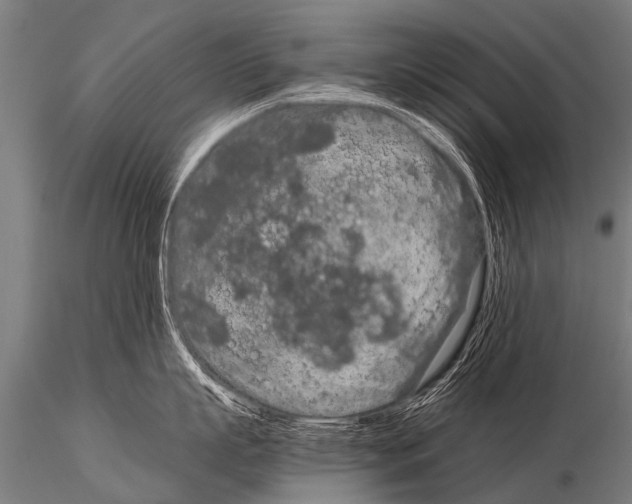 X0000115210863200912091156