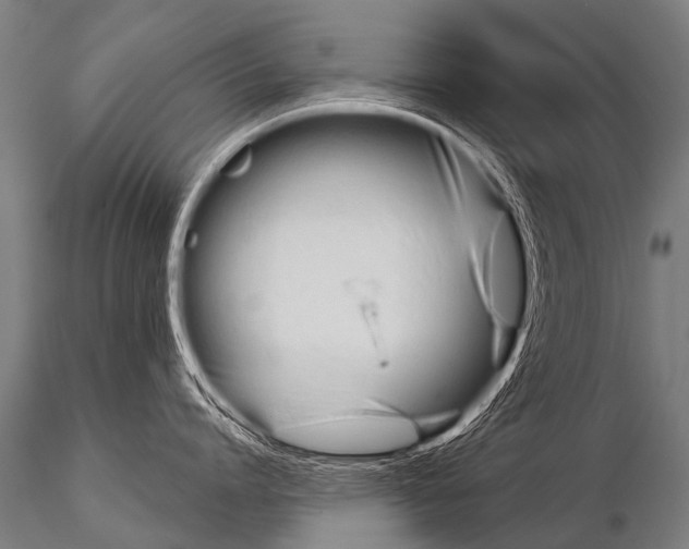 X0000115210864200912091156