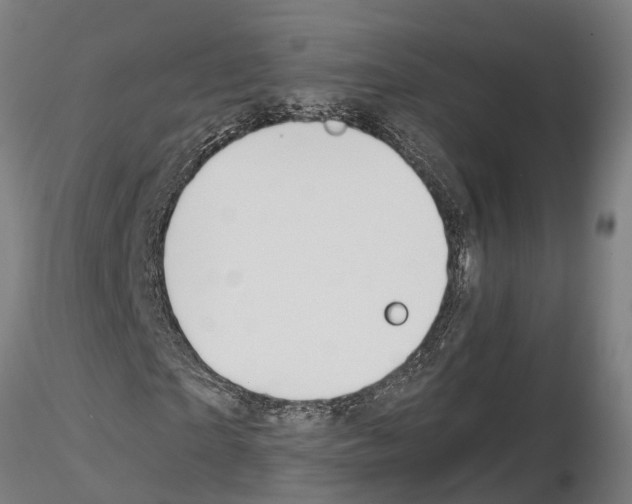 X0000115210865200912091155