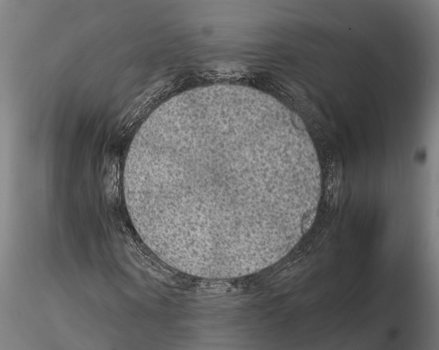 X0000115210866200912091155