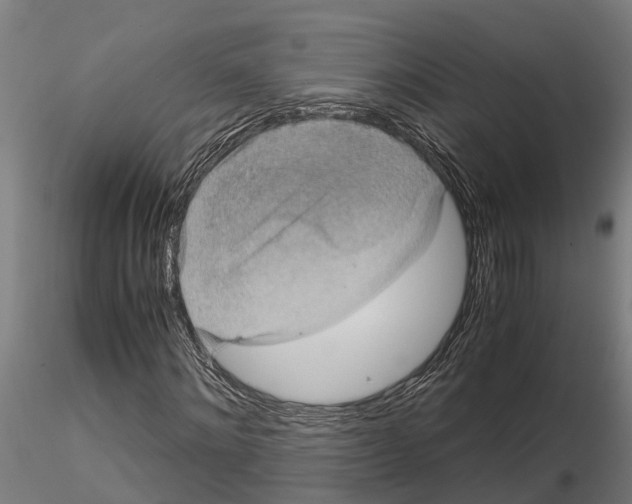 X0000115210868200912091155