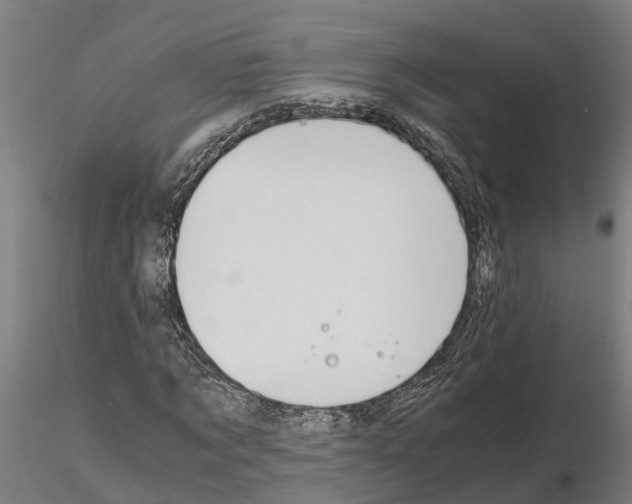 X0000115210869200912091155