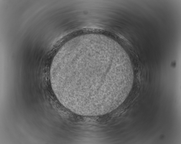 X0000115210870200912091155