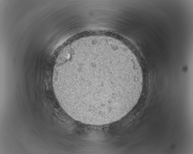 X0000115210871200912091155