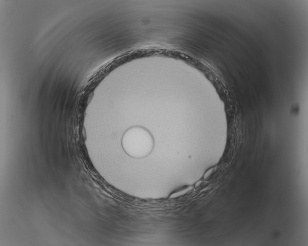 X0000115210872200912091155