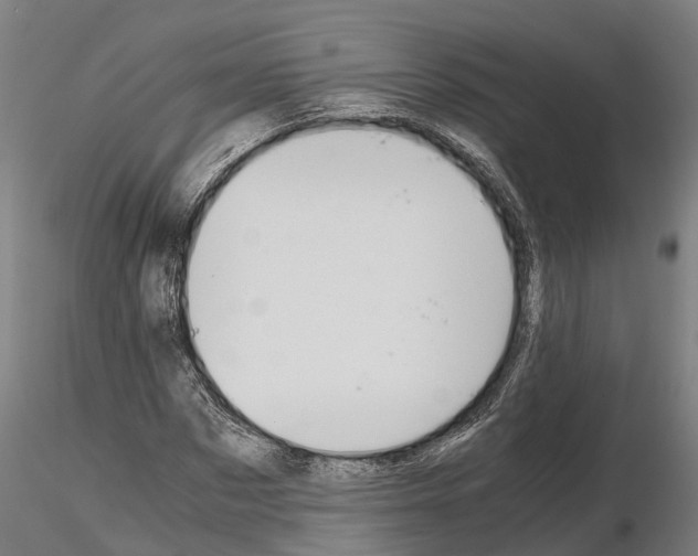 X0000115210873200912091155