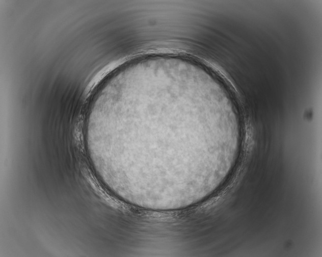 X0000115210874200912091155