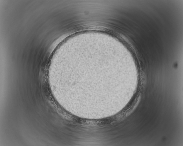 X0000115210875200912091155