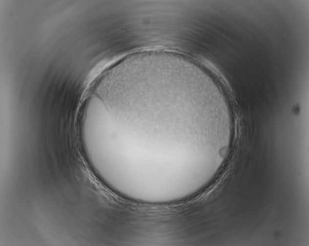 X0000115210876200912091155