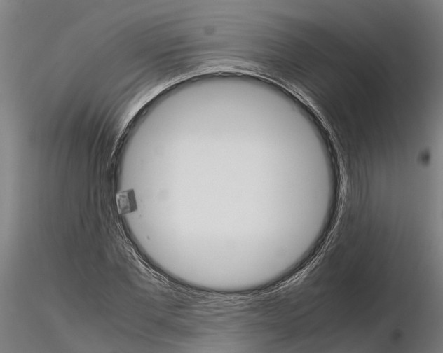 X0000115210877200912091155