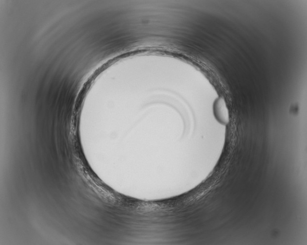 X0000115210880200912091155