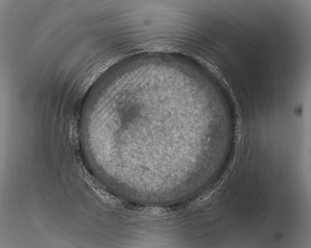 X0000115210881200912091155