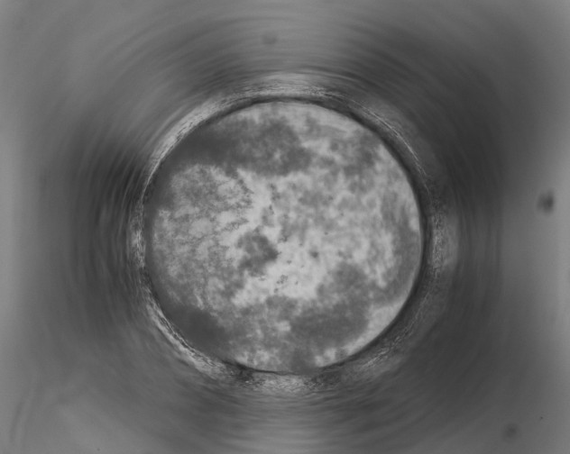 X0000115210882200912091155