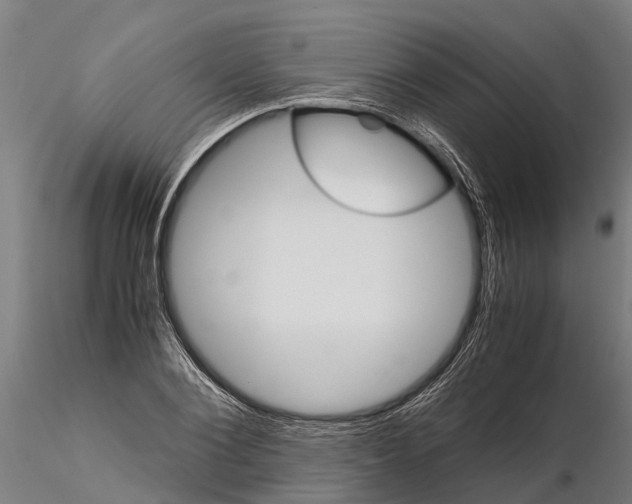 X0000115210884200912091155