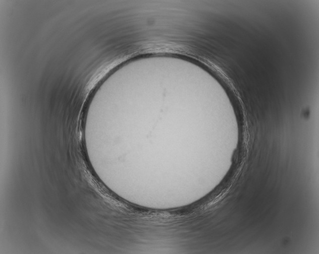 X0000115210885200912091155