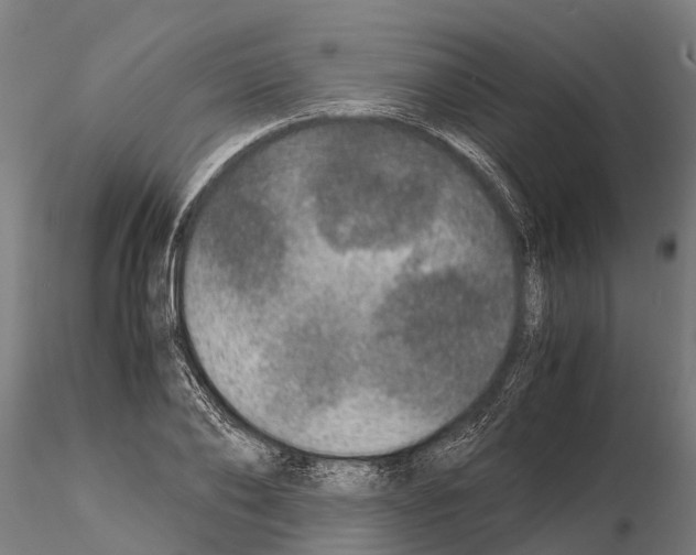 X0000115210886200912091155