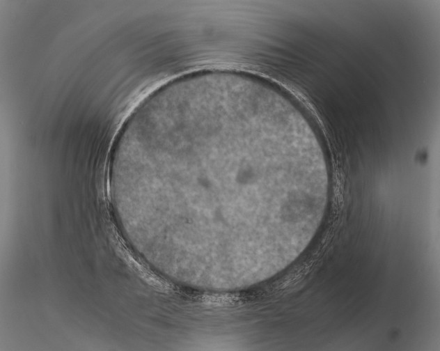 X0000115210887200912091155