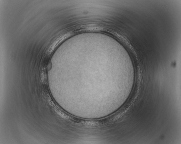 X0000115210889200912091155