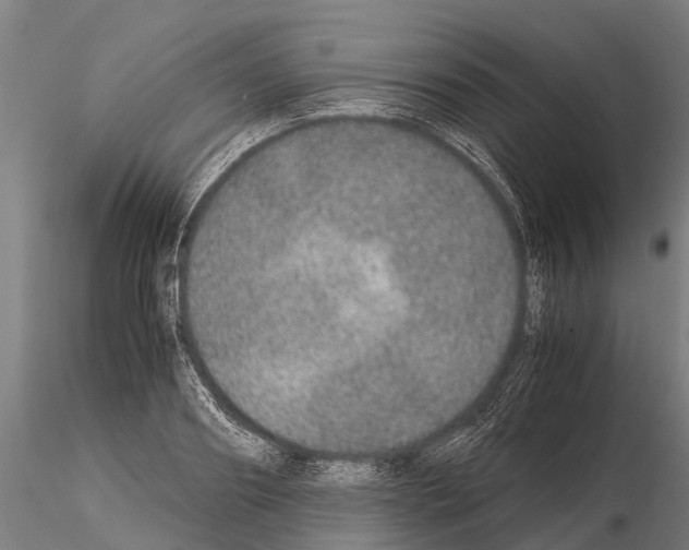 X0000115210890200912091155