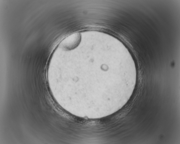 X0000115210891200912091155