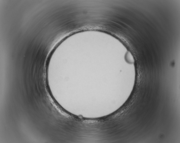 X0000115210894200912091155