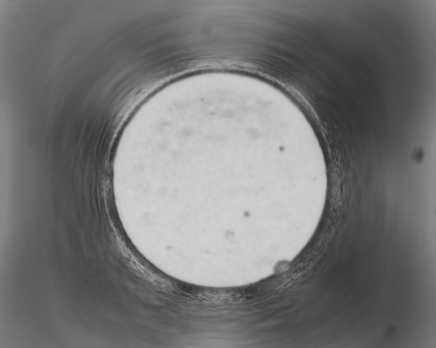 X0000115210895200912091155