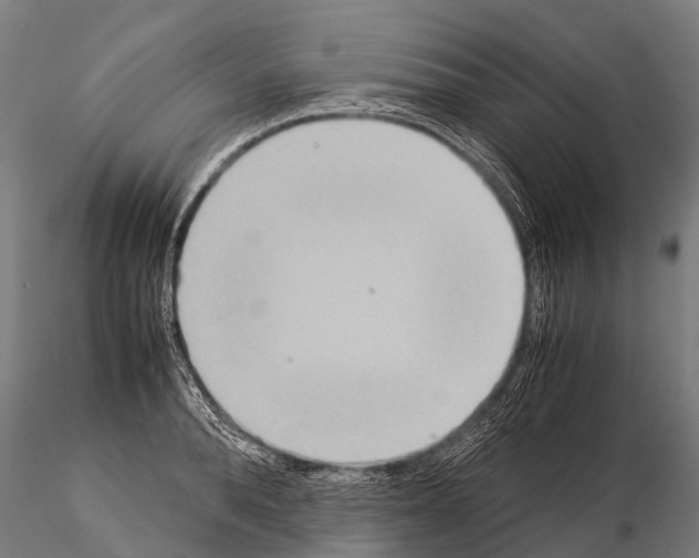 X0000115210896200912091155