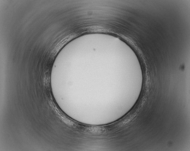 X0000115210897200912091155