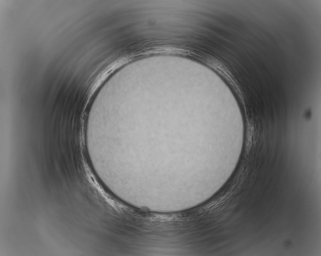 X0000115210898200912091155