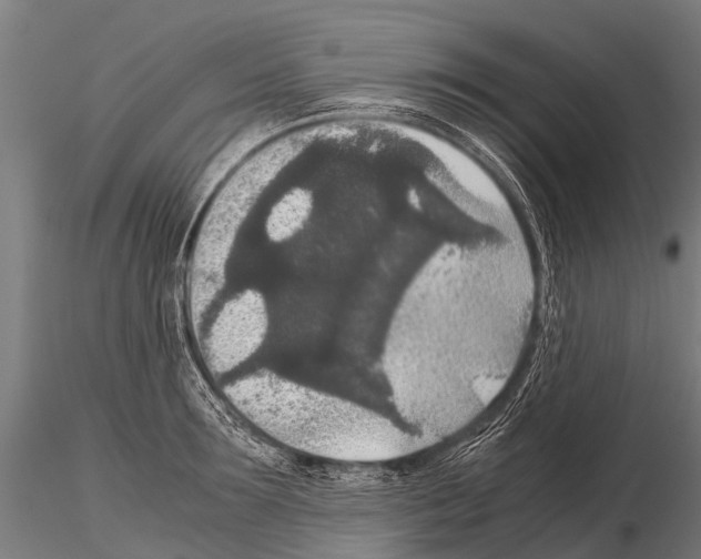 X0000115210899200912091155