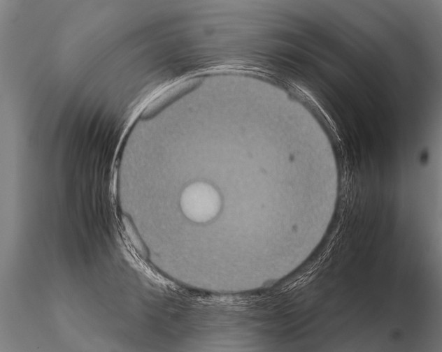 X0000115210900200912091155