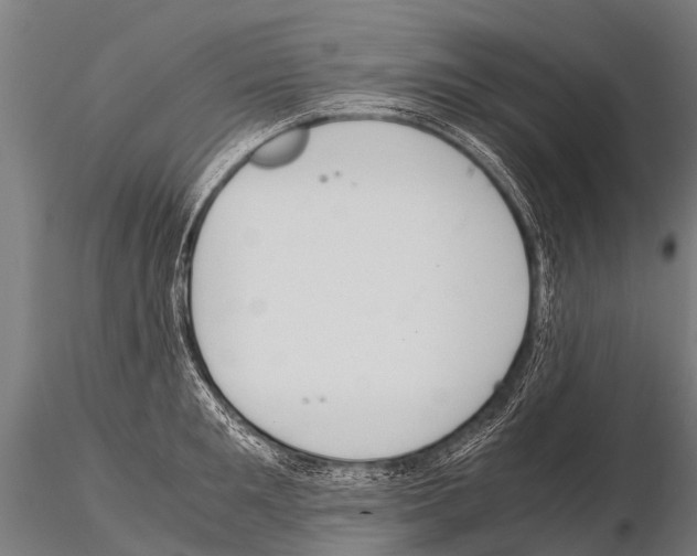 X0000115210901200912091155