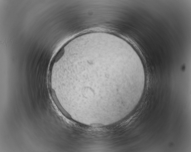 X0000115210902200912091155