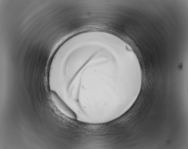 X0000115210904200912091155