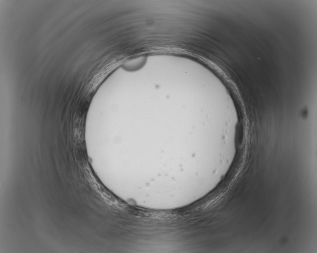 X0000115210905200912091155