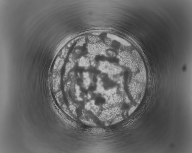 X0000115210907200912091155