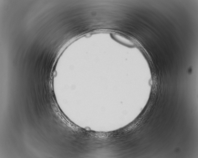 X0000115210908200912091155