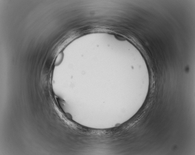 X0000115210909200912091155