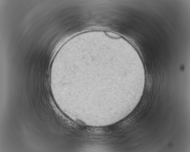 X0000115210911200912091155