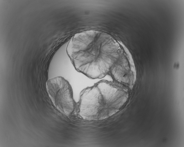 X0000115210913200912091154