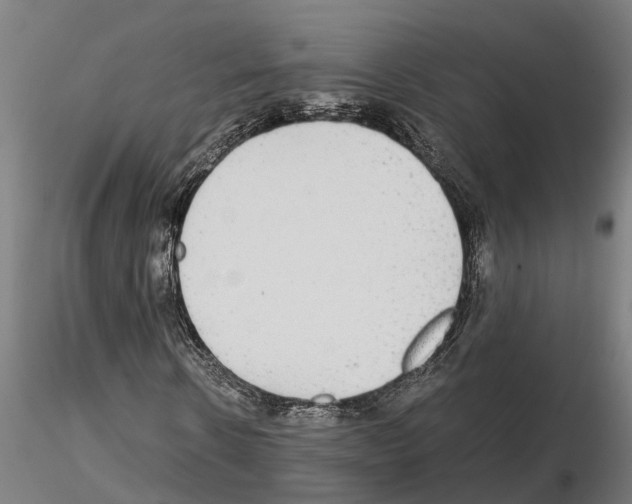 X0000115210914200912091154