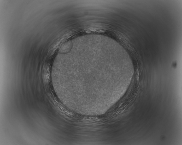 X0000115210915200912091154