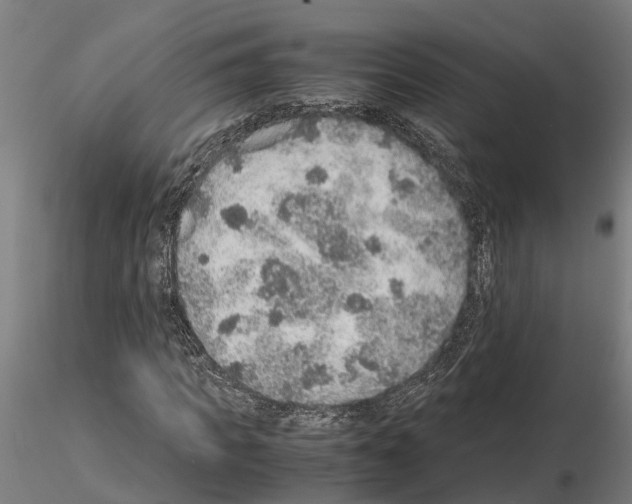 X0000115210917200912091154