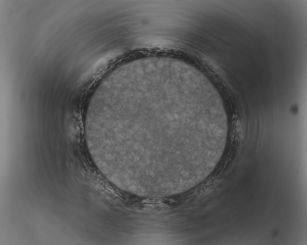 X0000115210918200912091154