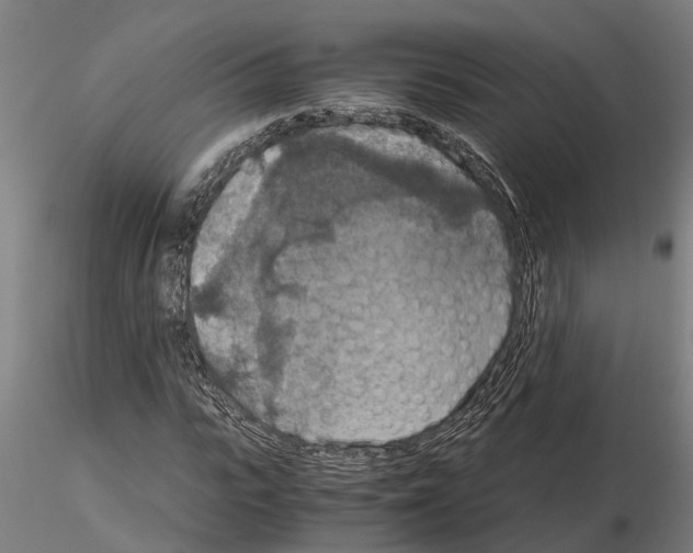 X0000115210919200912091154