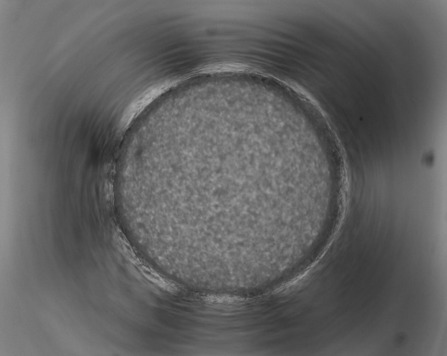 X0000115210921200912091154